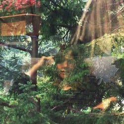 ImportCDs Angels of Death Vinyl Americana