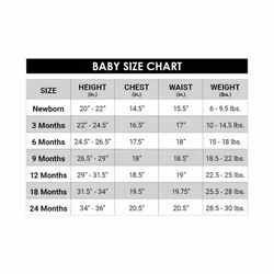 Levi's Baby Boys Hoodie  Waverly  24M