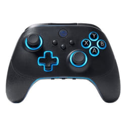 PowerA PCGP0382-01 Gaming Controller Black RF/USB Gamepad Analogue / Digital PC