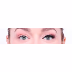 Luxe Pro Magnetic 10 Magnets Dramatic False Lashes