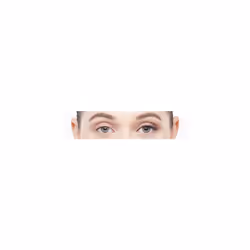 3/4 Length No. 014 False Lashes