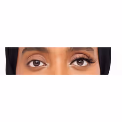 Luxe Pro Magnetic 10 Magnets Felt Tip Wispy False Lashes