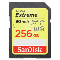 SanDisk Extreme 256 GB SDXC UHS-I Class 10