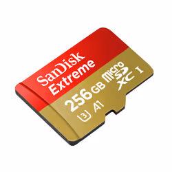 SanDisk Extreme 256 GB MicroSDXC UHS-I Class 10