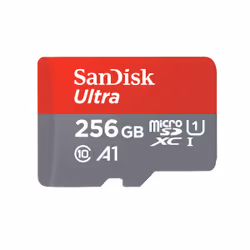 SanDisk Ultra, 256 GB, MicroSDXC, Class 10, UHS-I, 100 MB/s, Class 1 (U1)