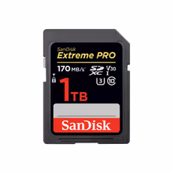 SanDisk SDSDXXY-1T00-ANCIN, 1.02 TB, SDXC, Class 3, UHS-I, 170 MB/s, 170 MB/s