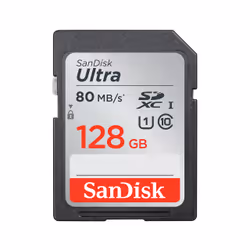 SanDisk SDSDUNR-128G-AN6IN, 128 GB, SDXC, Class 10, UHS-I, 80 MB/s, 80 MB/s