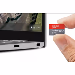 SanDisk Ultra 256 GB MicroSDXC UHS-I Class 10