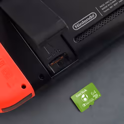 64GB microSDXC Card for Nintendo Switch - Nintendo Licensed Product, Twin Pack (includes two cards)