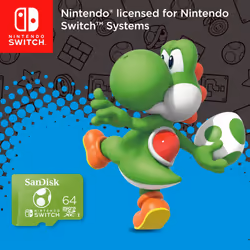 64GB microSDXC Card for Nintendo Switch - Nintendo Licensed Product, Twin Pack (includes two cards)