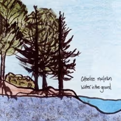 Alive AG Water in the ground/Dark dream midnight, Singer/Songwriter, CD, MacLellan, Catherine, Physical media, IDLA / True No ...