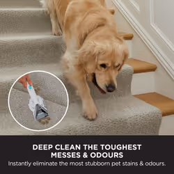 Shark STYLE iQ EX200UK carpet cleaning machine Deep White - Additional view 7