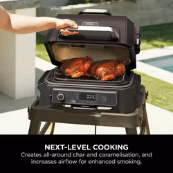 Ninja Woodfire XL Roast and Smoke Rack
