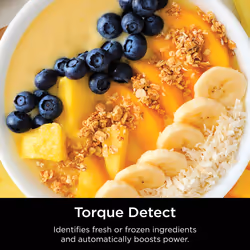 Ninja Detect Blender Pro TB201UK - Additional view 8