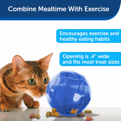PetSafe Slimcat Slow Feeder Ball for Cats - Interactive Puzzle Game for Your Cat - Fill with Food and Treats - Great for Indoor Play for Kittens and A