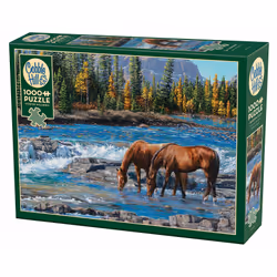 Cobble Hill On the Rocks | 1000 Piece, 1000 pc(s), Animals