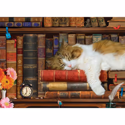 Eurographics 8500-5545 puzzle 500 pc(s)