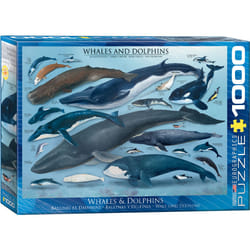 Eurographics Whales & Dolphins, 1000pcs Jigsaw puzzle 1000 pc(s) Fauna
