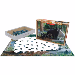 Eurographics 6000-0793, 1000 pc(s)
