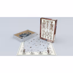Eurographics The Skeletal System Jigsaw puzzle 1000 pc(s) People