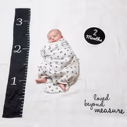 Mary Meyer Lulujo Baby’s First Year - “Loved Beyond Measure”