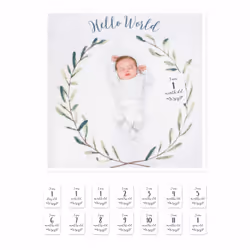 Mary Meyer Lulujo Baby’s First Year - “Hello World”