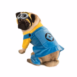 Despicable Me Minion Pet Costume  Small