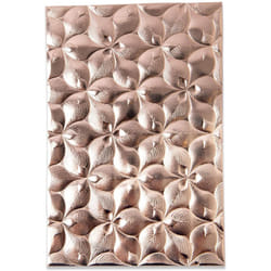 Sizzix 3-D Textured Impressions Embossing Folder Organic Petals by Kath Breen, 664998, Multicolor, One Size