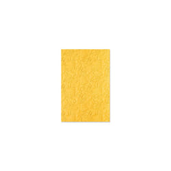 3-D Textured Impressions Embossing Folder Celebrate by Kath Breen, 665402, Multicolor, One Size
