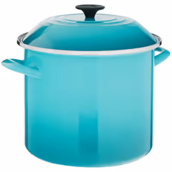 Le Creuset Enamel On Steel Stockpot  10 qt.  Caribbean