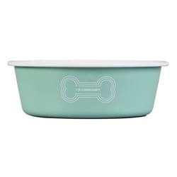 Le Creuset Enamel on Steel Large Dog Bowl  6 Cups  Light Green