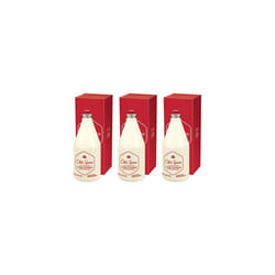 Old Spice Classic After Shave 6.37 oz (Pack of 3)