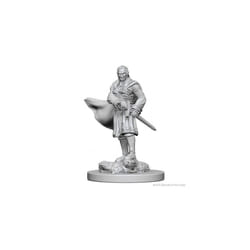 Dungeons & Dragons: Nolzur's Marvelous Unpainted Minis: Vampires
