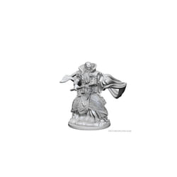 WizKids D&D Nolzur's Marvelous Miniatures: Human Wizard