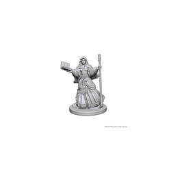 D&d Nolzur?s Marvelous Unpainted Minis: Human Female Wizard