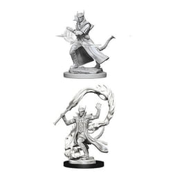 WizKids D&D Nolzur's Marvelous Miniatures: Tiefling Sorcerer