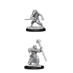 WizKids D&D Mini Kenku Adventurers