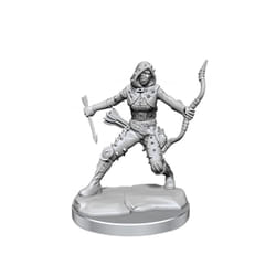 WizKids Human Rogue