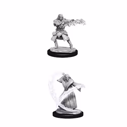 WizKids D&D Nolzur's Marvelous Miniatures: Elf Wizard, Collectible figure, Video game