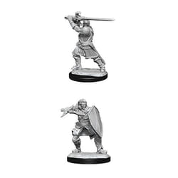 WizKids D&D Nolzur's Marvelous Miniatures: Human Paladin