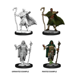 WizKids D&D Nolzur's Marvelous Miniatures: Human Druid
