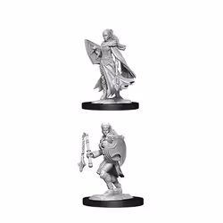 WizKids D&D Nolzur's Marvelous Miniatures: Kalashtar Cleric, Collectible figure, Video game