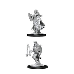 WizKids D&D Nolzur's Marvelous Miniatures: Kalashtar Cleric