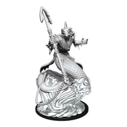 WizKids Critical Role Unpainted Miniatures: Shallowpriest