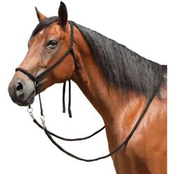 Mustang Nylon Bitless Bridle w/Reins Black