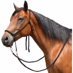 Mustang Nylon Bitless Bridle w/Reins Black