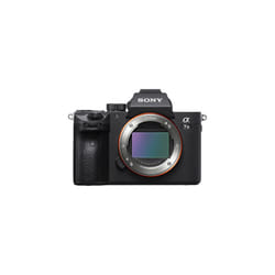 SONY A7 III + SEL 24-105MM F4 G OSS