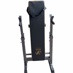 Viper Foldable Sit Up Bench Home Training Fitness Adjustable Weight
