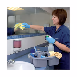 24776 Cleaning Compartment Caddy/Tote Tray, 40cmx 30cmx 13cm, Grey