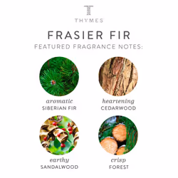 Thymes Tin Candle - 2.5 Oz - Frasier Fir